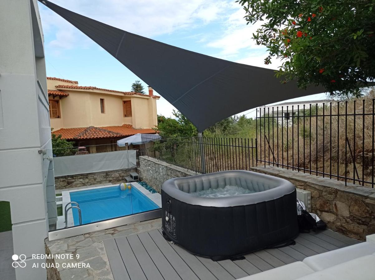 Alpha Delta Pool Suite PalaiónTsiflíkion Exterior foto